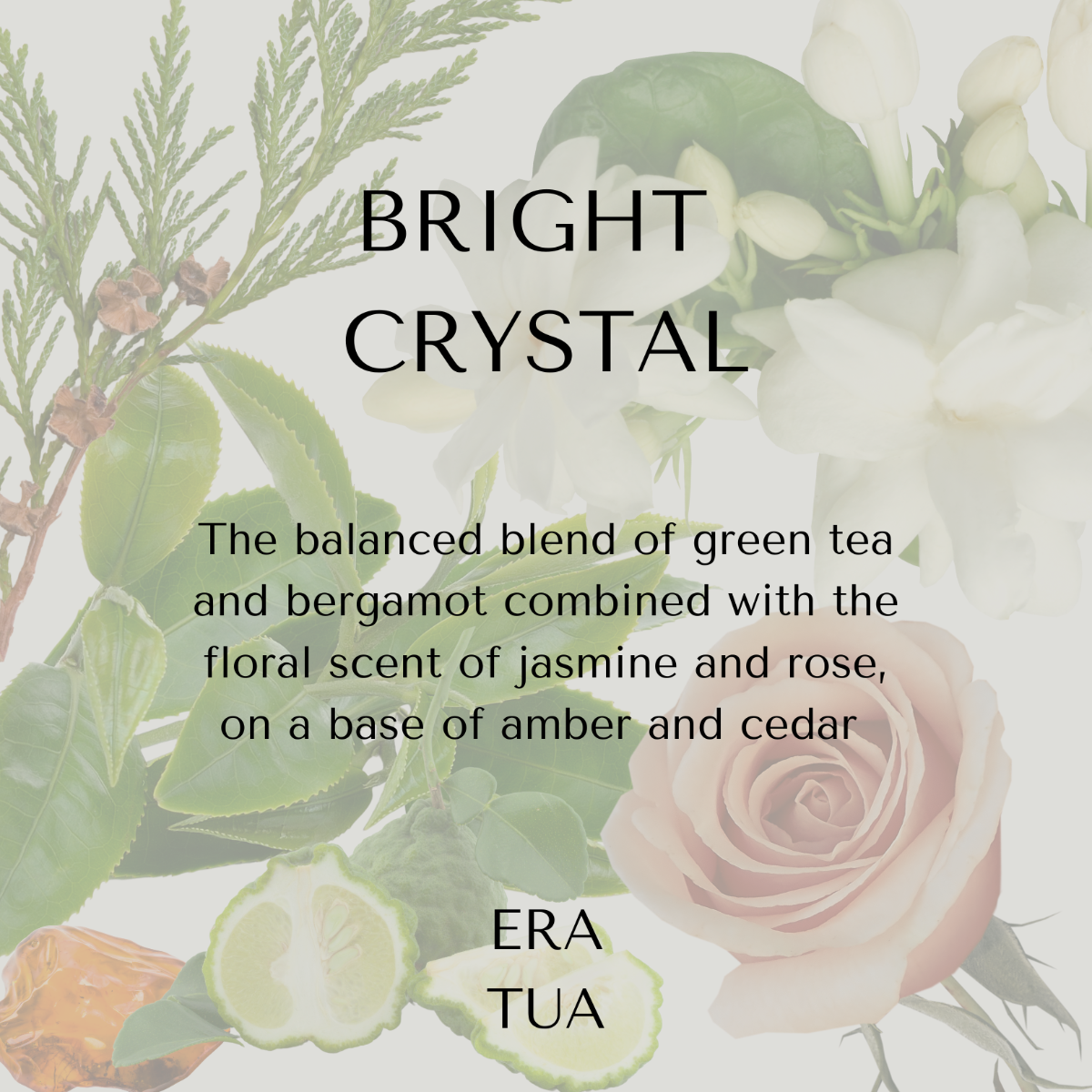 Bright Crystal No Yellow Conditioner 200ml