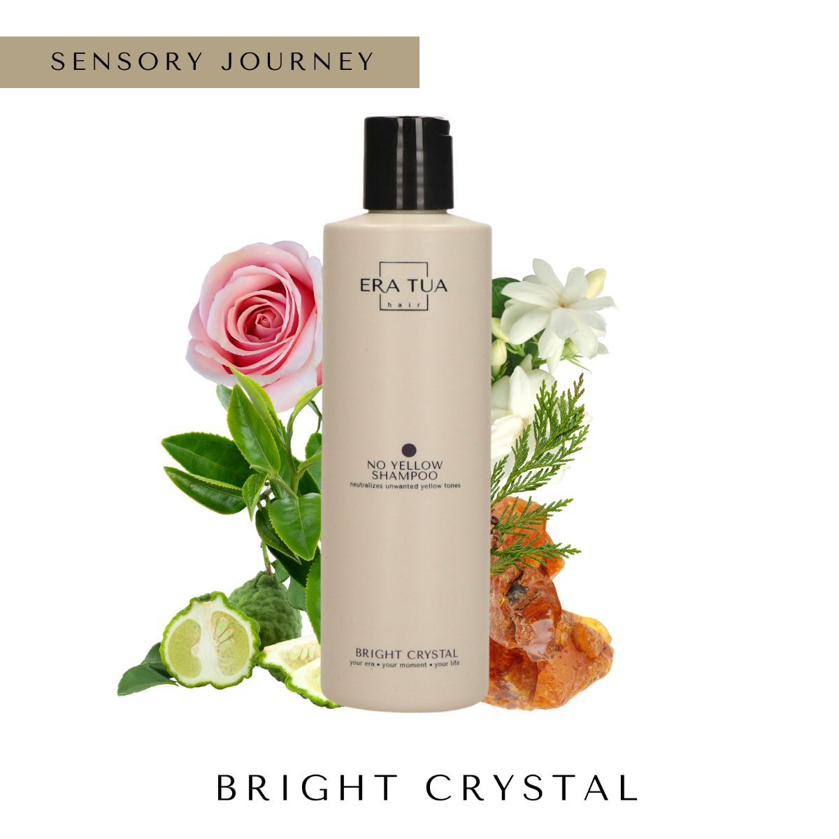 Bright Crystal No Yellow Shampoo 250ml