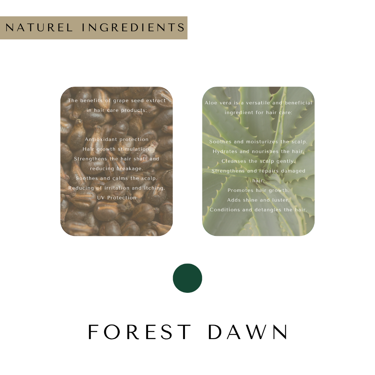 Forest Dawn No Orange Shampoo 250ml