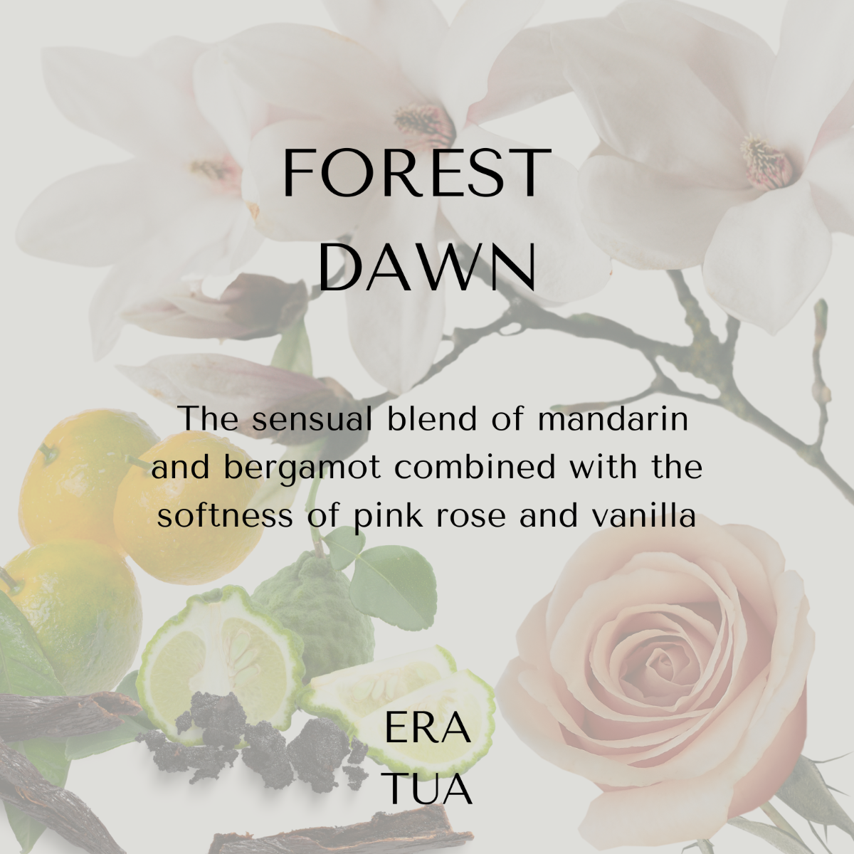 Forest Dawn No Orange Shampoo 250ml