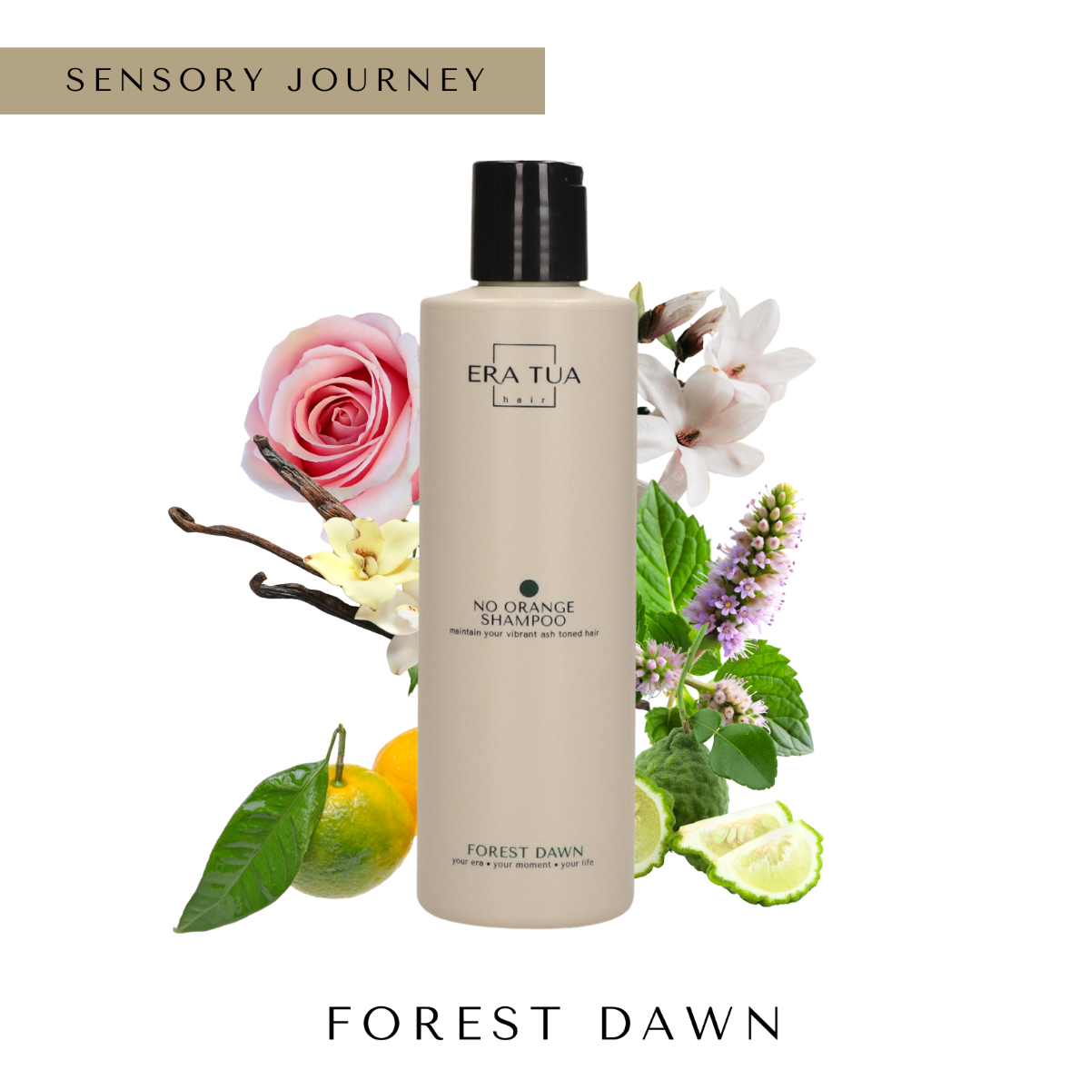 Forest Dawn No Orange Shampoo 250ml