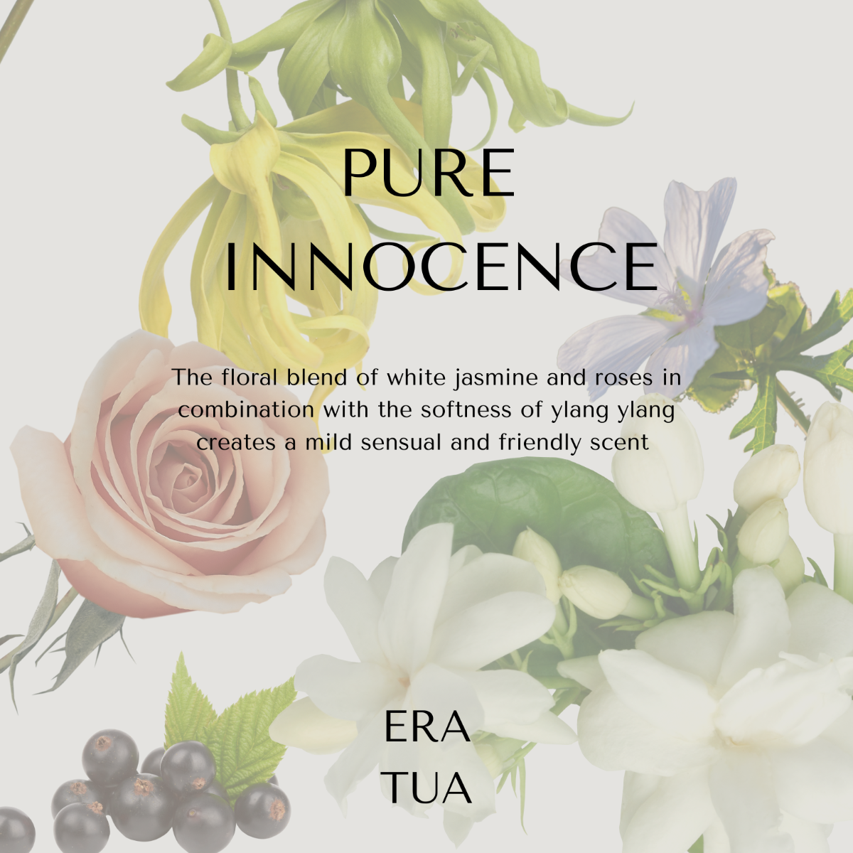 Pure Innocence Pure Volume Conditioner 750ml