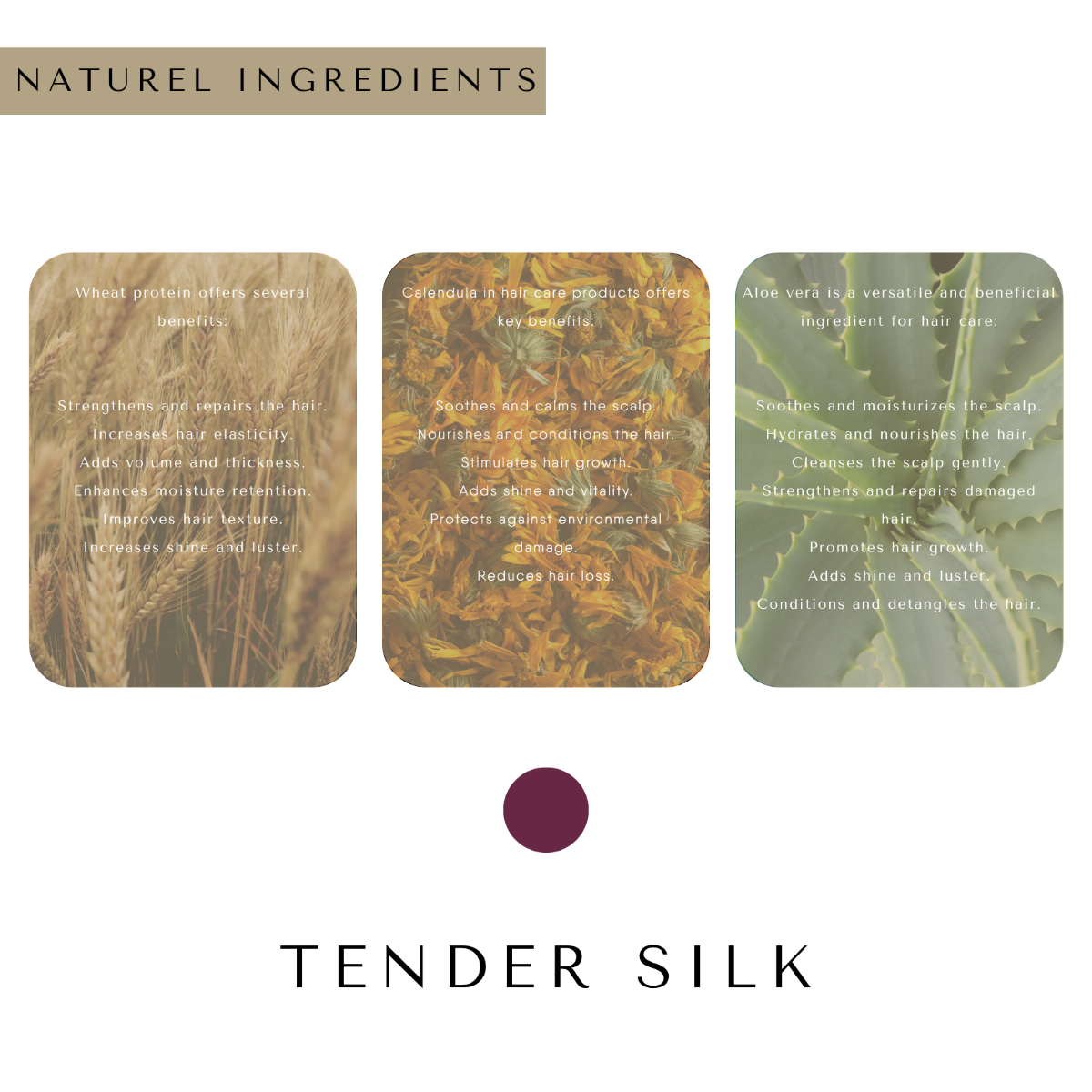 Tender Silk Bouncing Curls Shampoo 750ml